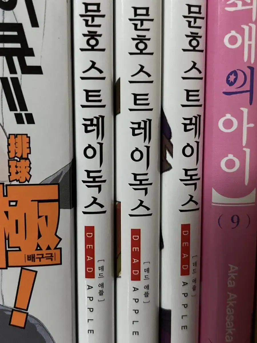 문호스트레이독스 문스독 데드애플 만화책 판매 다자이 츄야